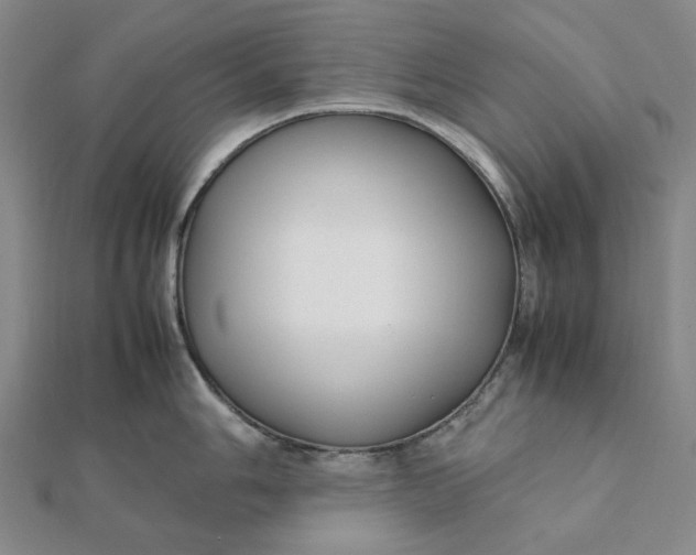 X0000112111006200908251207