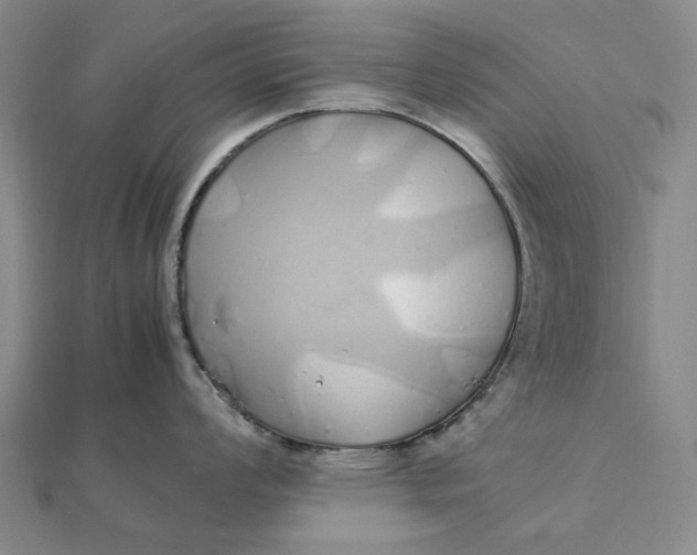 X0000112111008200908251207