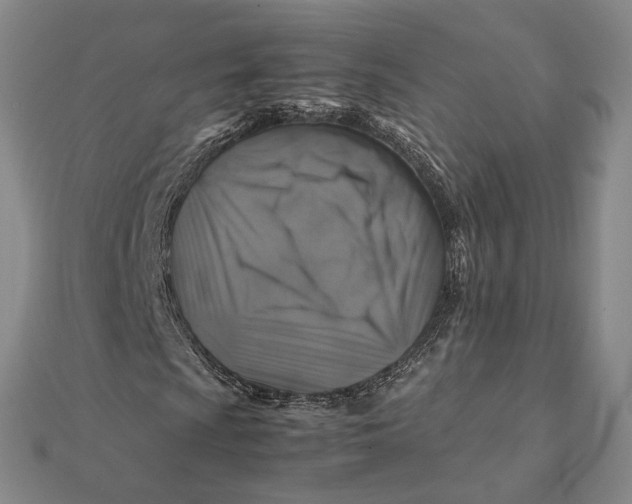 X0000112111009200908251206