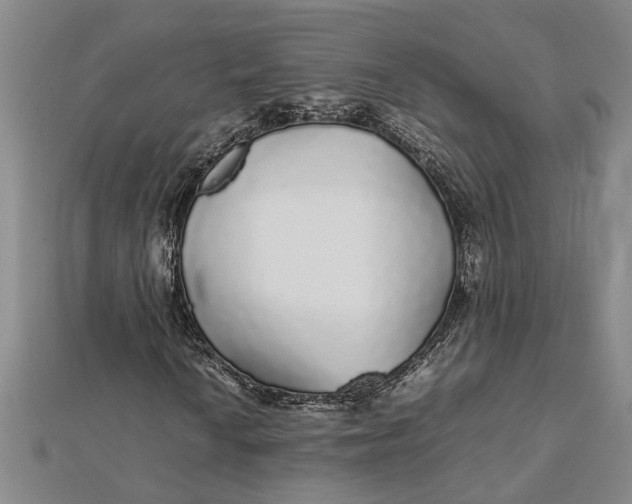 X0000112111010200908251206