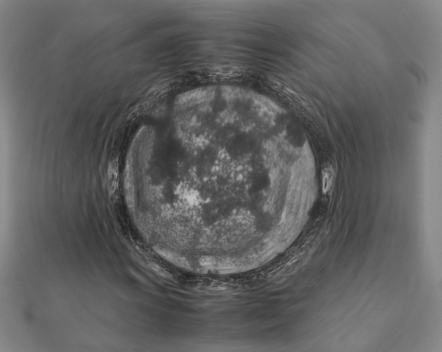 X0000112111011200908251206