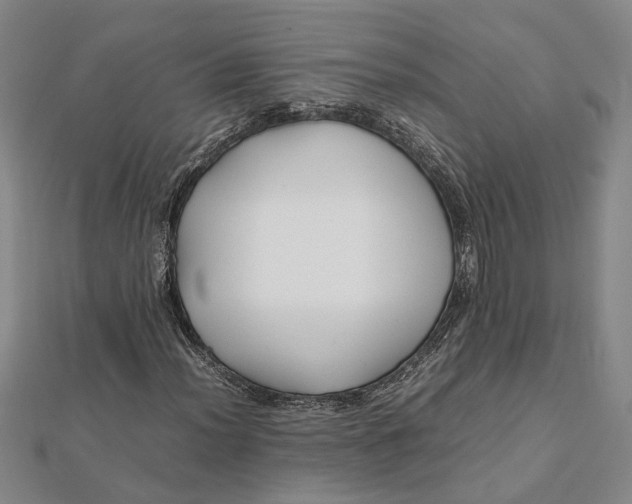 X0000112111012200908251206