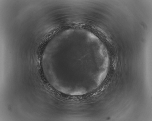 X0000112111013200908251206