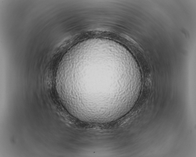 X0000112111014200908251206