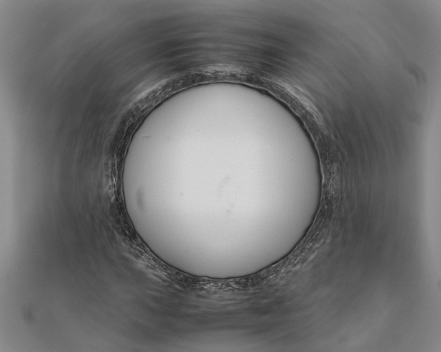 X0000112111015200908251206