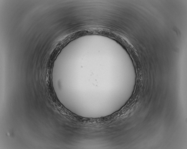 X0000112111016200908251206