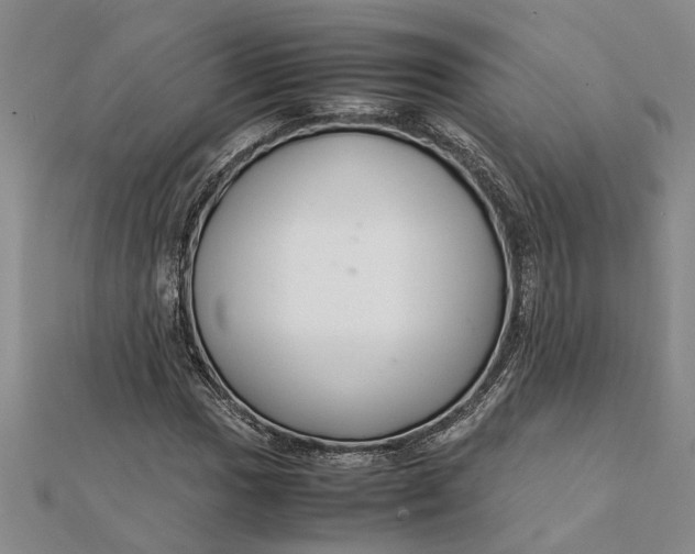 X0000112111017200908251206