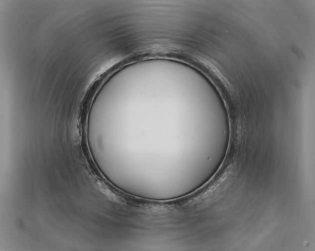 X0000112111018200908251206