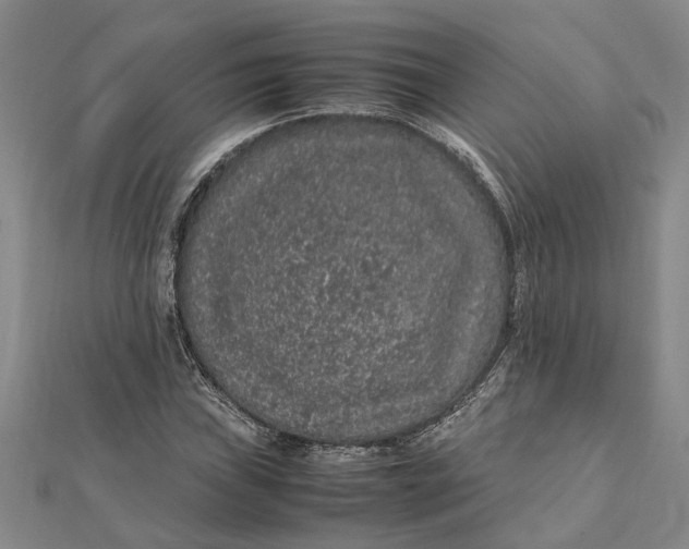 X0000112111019200908251206