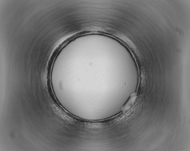 X0000112111020200908251206