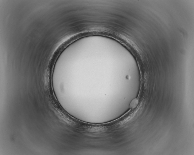 X0000112111021200908251206