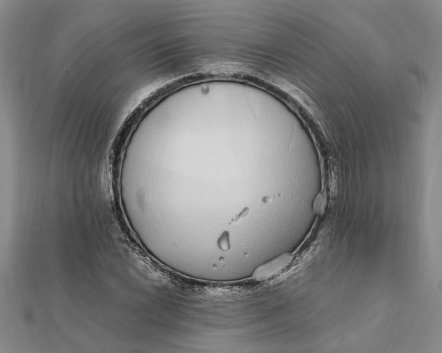 X0000112111022200908251206