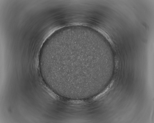 X0000112111023200908251206