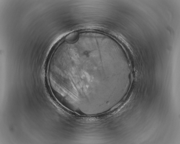 X0000112111024200908251206