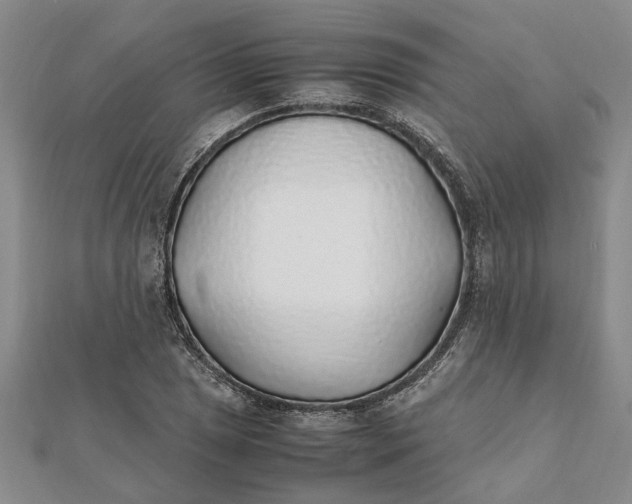 X0000112111025200908251207