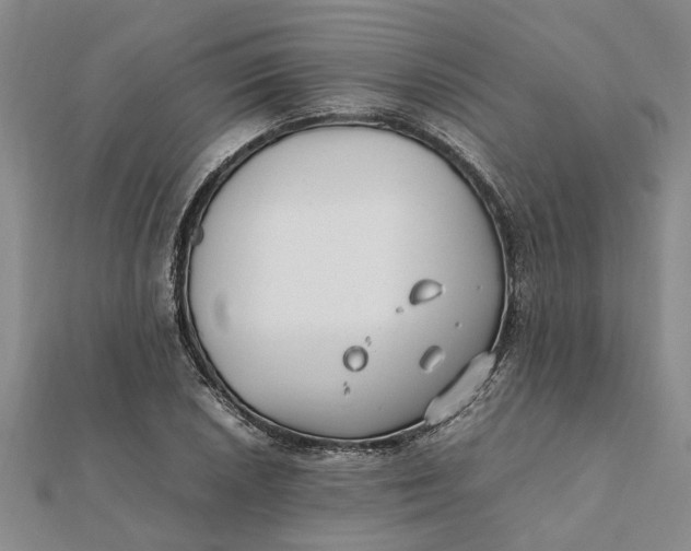 X0000112111026200908251207