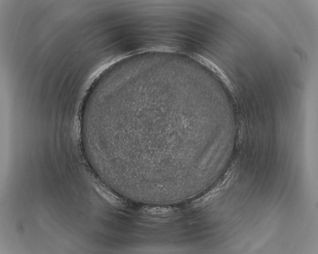 X0000112111027200908251207