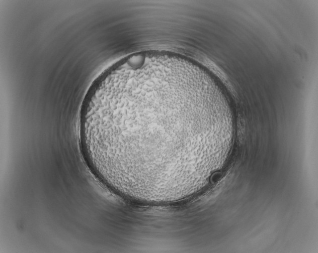 X0000112111028200908251207