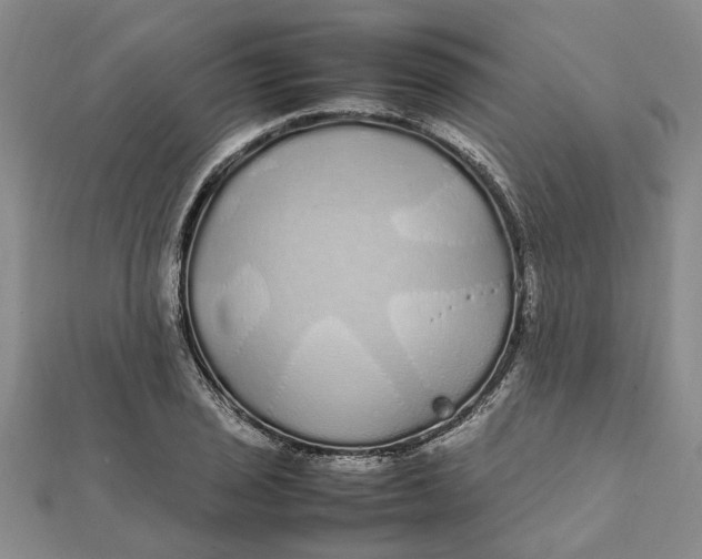 X0000112111029200908251207