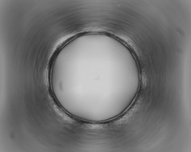 X0000112111030200908251207