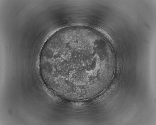 X0000112111031200908251207