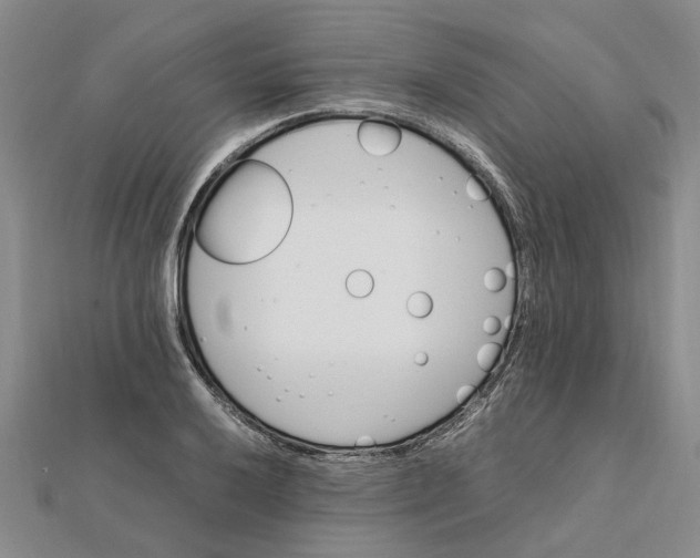 X0000112111032200908251207