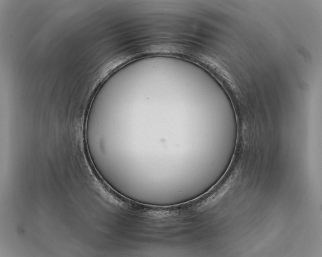 X0000112111033200908251207