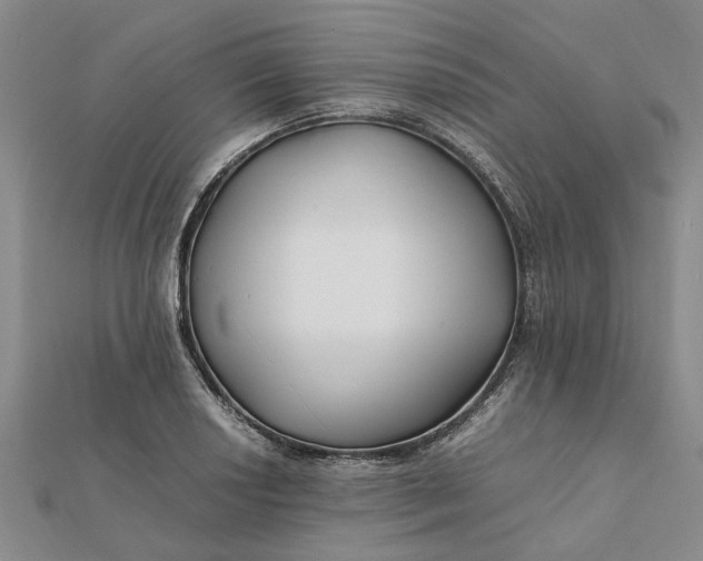 X0000112111034200908251207