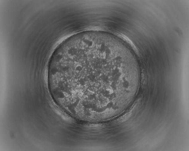 X0000112111035200908251207