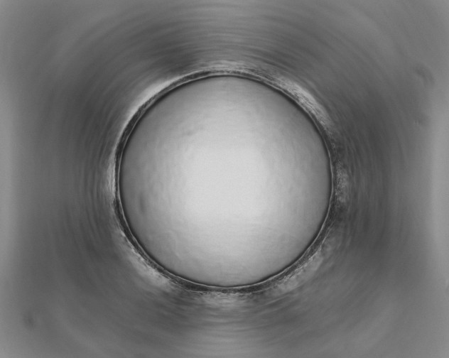 X0000112111036200908251207