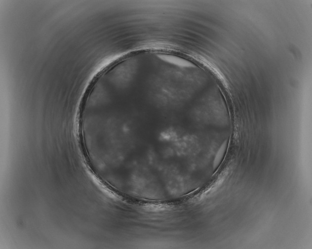 X0000112111037200908251207