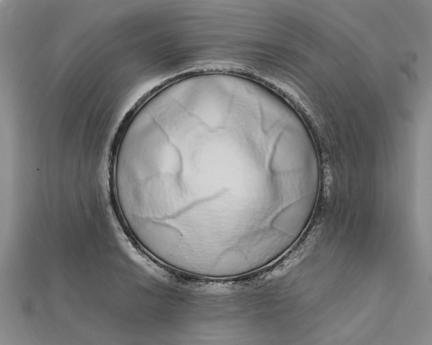 X0000112111038200908251207