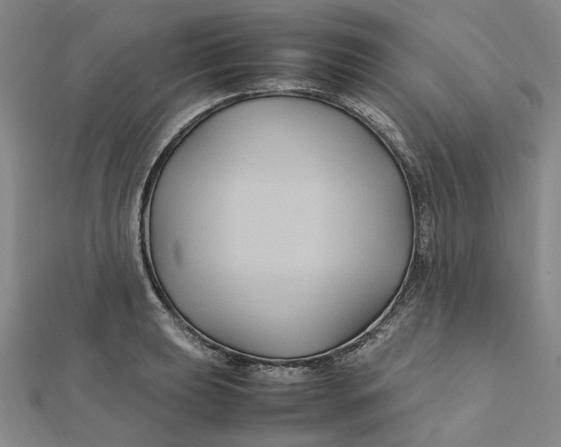 X0000112111039200908251207