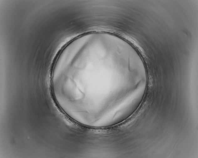 X0000112111040200908251207