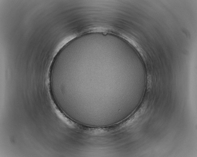 X0000112111042200908251207