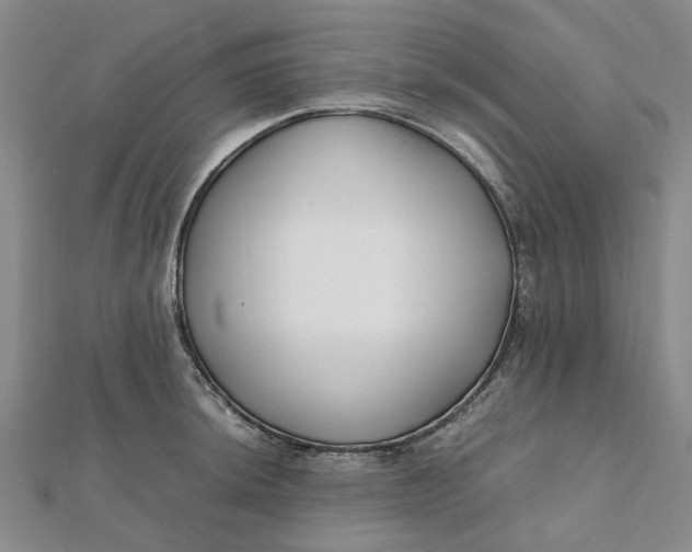 X0000112111044200908251207