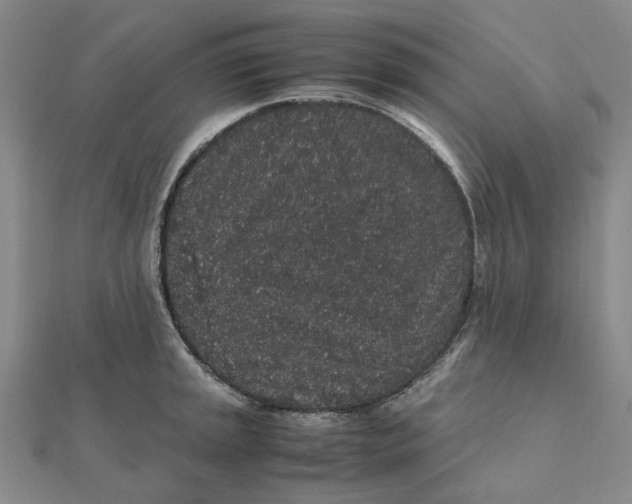 X0000112111045200908251207