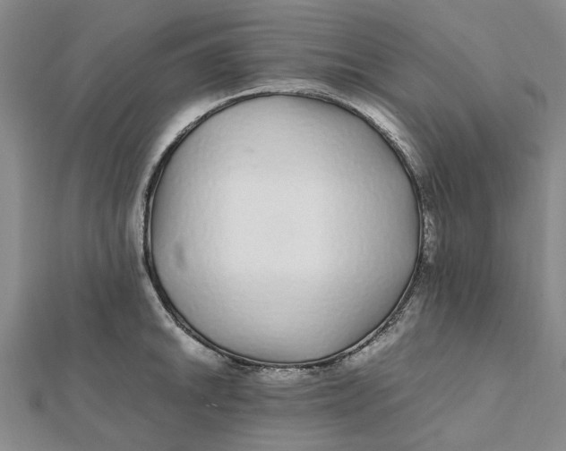 X0000112111046200908251207