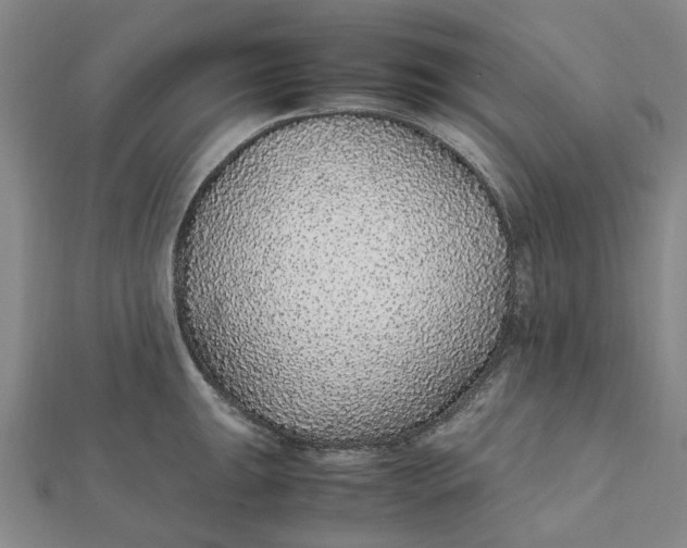 X0000112111047200908251207