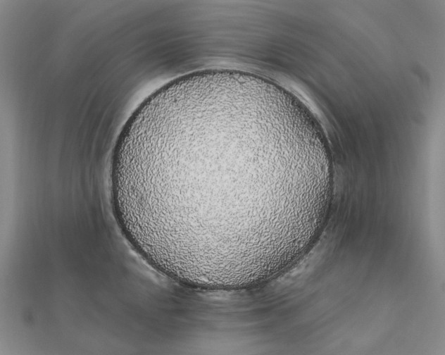 X0000112111048200908251207