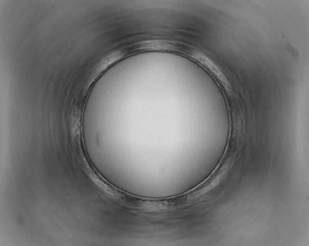 X0000112111049200908251207