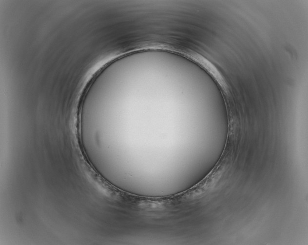 X0000112111051200908251207