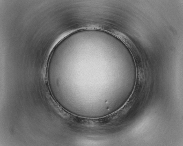 X0000112111052200908251207