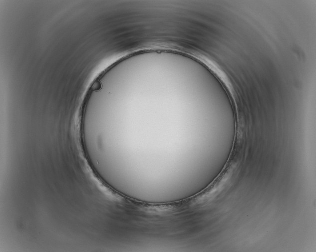 X0000112111053200908251207