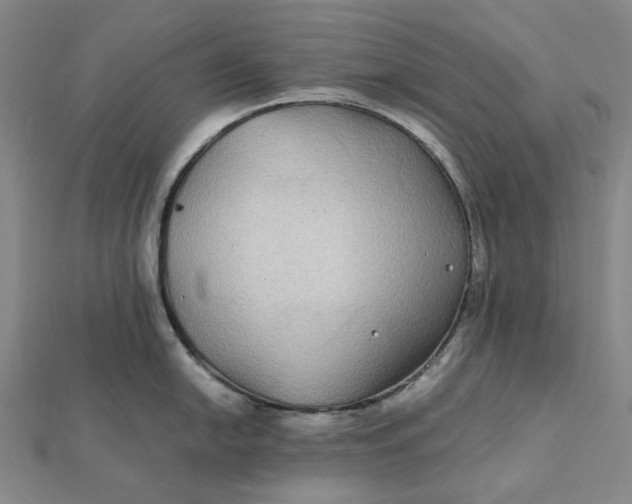 X0000112111054200908251207