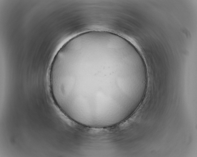 X0000112111056200908251207