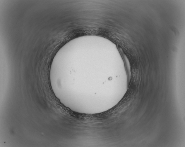 X0000112111057200908251206