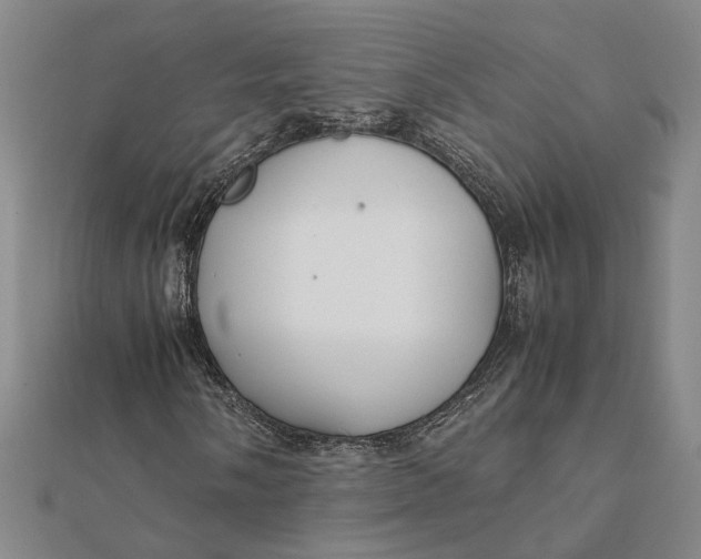 X0000112111058200908251206