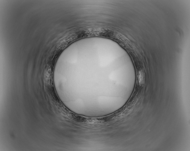 X0000112111059200908251206