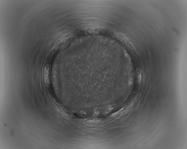 X0000112111060200908251206